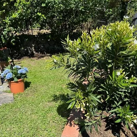 Lägenhet Casa Limoneto Noli