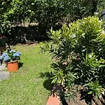 Appartamento Casa Limoneto Noli