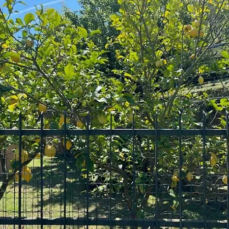 Casa Limoneto Noli